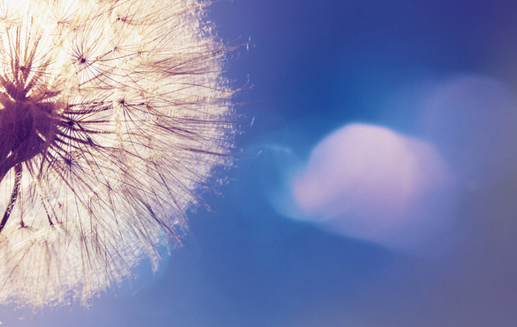 首页|南宫娱乐NG28集团官方网站